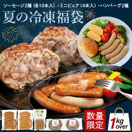 【 夏の 福袋 】 無添加 ソーセージ ハンバーグ 食べ比べ 5点 セット 送料無料 冷凍 BBQ 暑中見舞い お中…