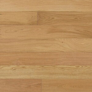 i(I[N) s[X S() E^NA t[O C DIY  tH[ mx[V  CҔ   I[N i I[N ؂̏