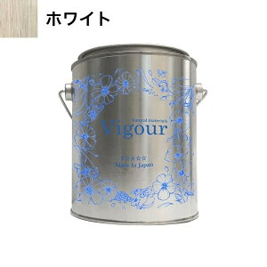 C̖ VRICp ICVigour#OSRzCg^1000ml ؕ  Rh h DIY eiXpi t[O