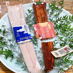 xX V̉H߁`Ȃ銱 Ⓚ (ꕔn) q AiS  lΉ  Ε