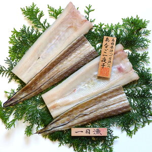 xX V̉H߁`Ȃ銱l Ⓚ (ꕔn) q AiS  lΉ  Ε