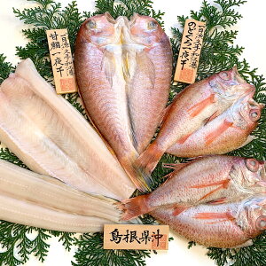 岡富商店「一日漁」福禄寿 (甘鯛/のどぐろ/あなご)一夜干し詰め合わせ 冷凍便 送料無料(一部地域を除く) 干物 熨斗対応可 中元 歳暮
