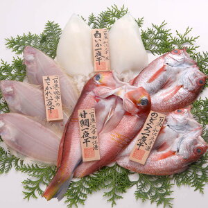 xXuvg˓V (Ñ/̂ǂ//ꂢ)銱lߍ킹 Ⓚ (ꕔn)  lΉ  Ε