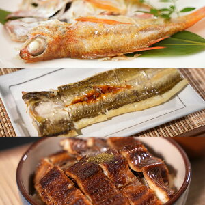 岡富商店 のどぐろ&あなご2種詰合せ 冷凍便 送料無料(一部地域を除く) 穴子 アナゴ 干物 熨斗対応可 中元 歳暮