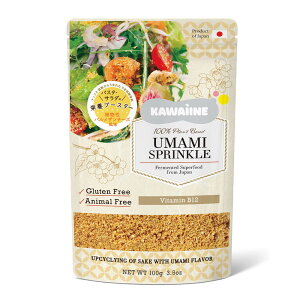 [2܃Zbg]o EASY VEGAN 𔔂ƃibcłApU`[Y(pE`) 100g×2 