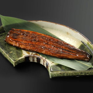  Ȃ() ERt Ⓚ (ꕔn)lΉ