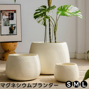 [50%OFFN[|ΏF]yz v^[ }OlVE Aؔ }OlVEv^[ ی^ Vv K[fjO  O Ԓd k  i`  ƒ؉ CeA