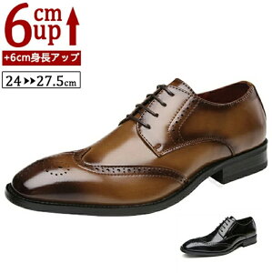 y200~OFF!z {vV[NbgV[Y Y  gAbv6cm up6cm q[Abv gup w  rWlXV[Y {vC V[NbgV[Y Y rWlXC 