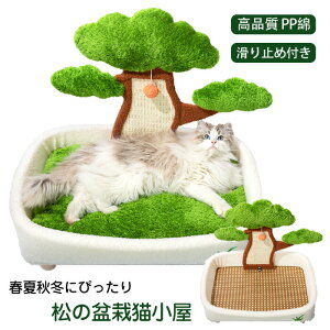 uv̖~͔L L ybgxbh Lp܂Ƃ{[h lGʗp ϖՐ O\  ӂӂ ΍ Lp 􂦂 薰 ybgp ybgpQ ybgpi 