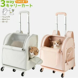 ybgL[ bNobO LX^[t L L[obO  ^ ^ L[P[X bV  UobO ܂肽 ʋC bN J[g ω׏d 10kg o U 