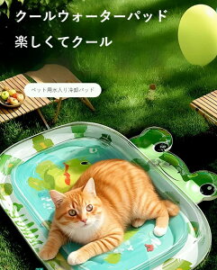 ybgpp}bg/WFNbV Lp łŗ₦ ۗ fMʂ̃ybgxbh Lp ^pyċGN[z