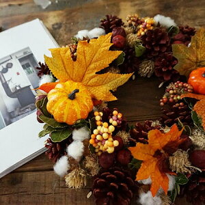   u fBXvC ڂ J{` nEB[X  [X a30cmȏ pvL Vbv hCt[ hA