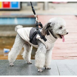   WPbg hbOEFA n[lX̌^Wp[ n[lX ~p ^ ^p ̕ h ~R[g xXg IV d˒Ή f h΍ gfUC