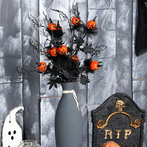 3_Zbg _[NnEB pvL ~W u[P ƃIW t[AWg nEB  e[u CeA  z[p[eB[ 