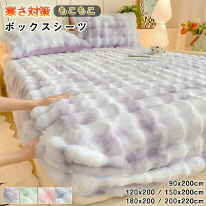 y15OFFN[| 11/2܂Łz{bNXV[c ӂӂ ̌^~pbh tln ^C_C  ~pbh VO Z~_u xbhJo[ BOXV[c xbhV[c  