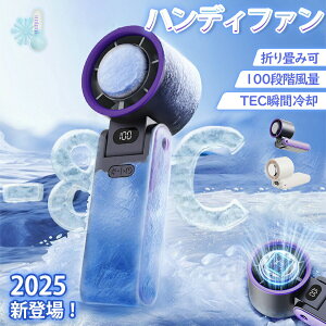 uIIvnfBt@ pv[g 2025 񂩂 É |@ @ 100iK lbNN[[ ܂肽 y nfBt@ pv[g nfB