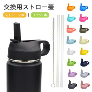 2Zbg Xg[ Lbv pXg[W LXg[W  W Xg[2{+|uV1{t قƂǂ̃X|[cEH[^[{gɑΉ Xg[Lbvt nChtX