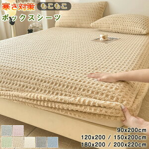 y15OFFN[| 11/5܂Łz{bNXV[c VO g  ̌^~pbh tl ~pbh Z~_u xbhJo[ BOXV[c xbhV[c bt M }CN