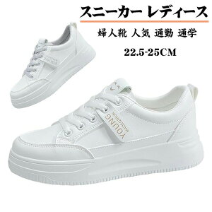 Xj[J[ fB[X   X|[c V[Y C EH[LOV[Y ^C jOV[Y ʋC ~ JWA r gAbv p wlC lC ʋ ʊw 풅p 