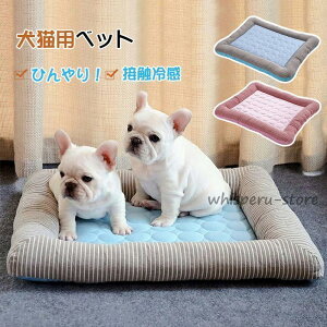 xbg ėp Ђ ⊴  􂦂 ybgxbg \t@[   ܂ Q Lxbh ^ ^ ڐG⊴ ybgpi 