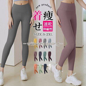 ���K�E�F�A ���K�p���c �t�B�b�g�l�X�p���c ���M���X �X�p�b�c ���K �p���c ���� ���K���M���X �X�|�[�c�E�G�A ���f�B�[�X