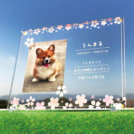 ペット メモリアル フォトプレート 【桜】 犬 猫 愛犬 愛猫 ペット メモリアルグッズ グッズ 写真 かわいい オーダーメイド オリジナル 遺影 仏具 位牌 ペット供養 記念 記念品 誕生日 写真立て 写真 文字入り フォト 思い出 アクリルスタンド 手元供養