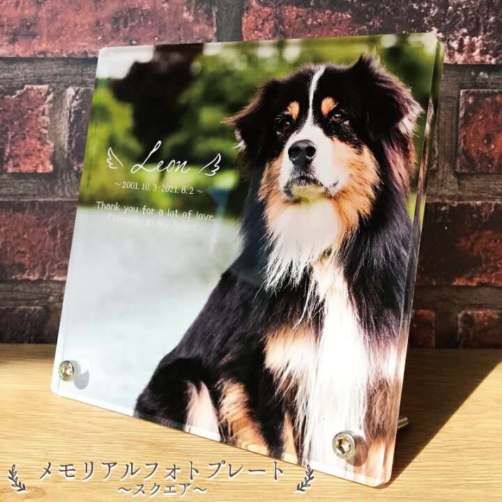 楽天市場 ペット フォトプレート スクエア 犬 猫 愛犬 愛猫 ペット メモリアル グッズ 写真 ペットグッズ かわいい オーダーメイド オリジナル 遺影 仏具 位牌 ペット供養 記念 ペットロス 写真立て 写真 文字入り フォト 思い出 アクリルスタンド 思い出 うさぎ