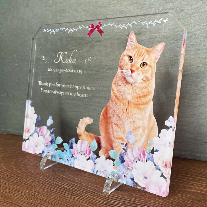 楽天市場】ペット フォトプレート 【フローラル】 犬 猫 愛犬 愛猫 
