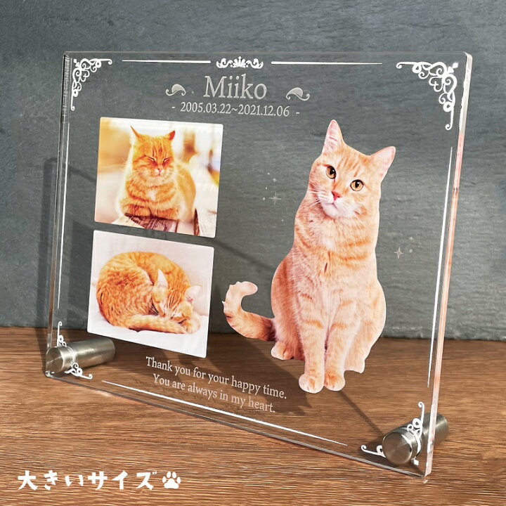 楽天市場】ペット フォトプレート【クラシック】 大きいサイズ 犬 猫 