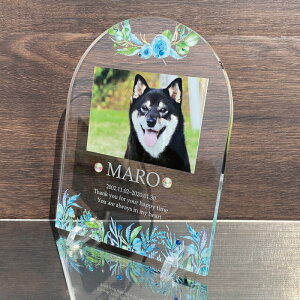 ybg tHgv[g Xg[ yEH[^[[tz  L  L ybg A AObY   蕨 ObY ʐ^ VR r[Y a 킢 IWi