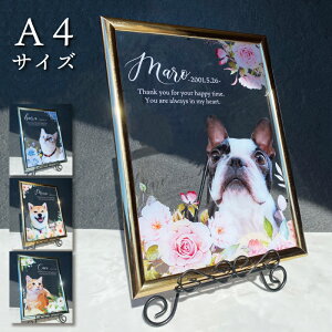 ybg ztHgt[ AN ysN[Yz  L  L A AObY  ʐ^ LpX ̎q v[g ybgObY 킢 I[_[Ch I