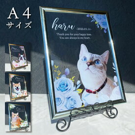 ペット 額装フォトフレーム アクリル 【ブルーローズ】 犬 猫 愛犬 愛猫 メモリアル メモリアルグッズ 花 写真 キャンパス うちの子 プレゼント ペットグッズ かわいい オーダーメイド オリジナル 遺影 位牌 ペット供養 ペットロス 写真立て 文字入り フォト 思い出