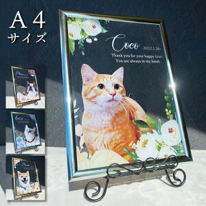 ybg ztHgt[ AN y{^jJt[z  L  L A AObY  ʐ^ LpX ̎q v[g ybgObY 킢 I[_[C