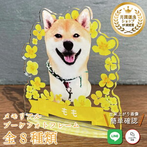 ybg u[PtHgt[yCG[t[z L  L A  u[P AObY ObY ʐ^   蕨 ybgObY 킢 I[_[Ch I