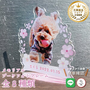 ybg u[PtHgt[y烊[Xz L  L A  u[P AObY ObY ʐ^   蕨 ybgObY fBA 킢 I[_[Ch 