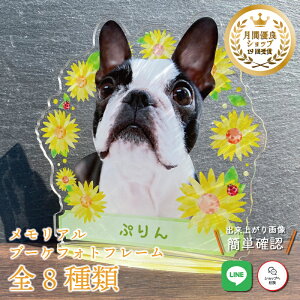 ybg u[PtHgt[yЂ܂z L  L A  u[P AObY ObY ʐ^   蕨 ybgObY fBA 킢 I[_[Ch I