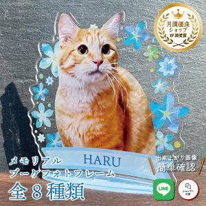 ybg u[PtHgt[yy[u[z L  L A  u[P AObY ObY ʐ^   蕨 ybgObY fBA 킢 I[_[Ch 