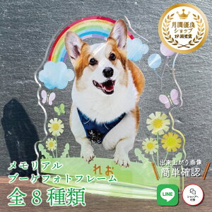 ybg u[PtHgt[yɂ̉˂z L  L A  u[P AObY ObY ʐ^   蕨 ybgObY fBA 킢 I[_[Ch 