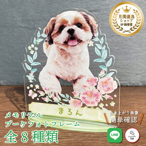 ybg u[PtHgt[ysNt[z L  L A  u[P AObY ObY ʐ^   蕨 ybgObY 킢 I[_[Ch I