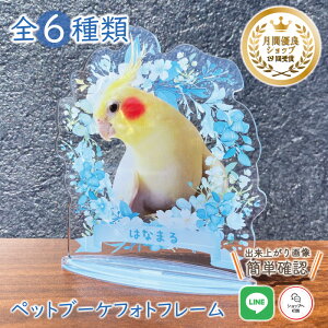 ybg u[PtHgt[yu[t[z L  L A  u[P AObY ObY ʐ^   蕨 ybgObY 킢 I[_[Ch I