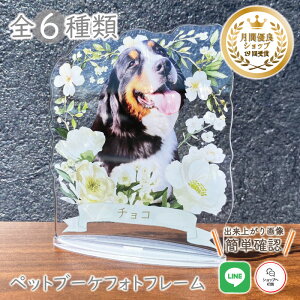 ybg u[PtHgt[yzCgt[z L  L A  u[P AObY ObY ʐ^   蕨 ybgObY 킢 I[_[Ch I