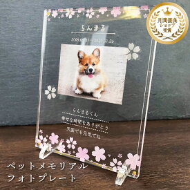 ペット メモリアル フォトプレート 【桜】 犬 猫 愛犬 愛猫 ペット メモリアルグッズ グッズ 写真 お悔やみ お悔み 贈り物 かわいい オーダーメイド オリジナル 遺影 仏具 位牌 ペット供養 記念 記念品 誕生日 写真立て 写真 文字入り フォト 思い出 手元供養