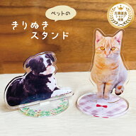 【ペットのきりぬきスタンド】 犬 猫 愛犬 愛猫 鳥 文鳥 インコ うさぎ 亀 ペット 写真入り メモリアル …