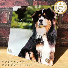 ペット フォトプレート 〜スクエア〜 犬 猫 愛犬 愛猫 ペット メモリアル グッズ 写真 お悔やみ お悔み 贈り物 ペットグッズ かわいい オーダーメイド オリジナル 遺影 仏具 位牌 ペット供養 記念 ペットロス 写真立て 文字入り フォト 思い出 アクリルスタンド 手元供養