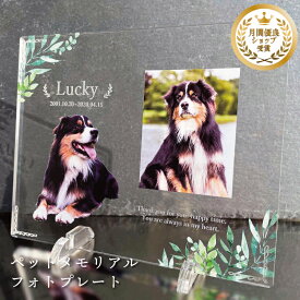 ペット フォトプレート 【リーフ】 犬 猫 愛犬 愛猫 ペット メモリアル メモリアルグッズ グッズ 写真 お悔やみ お悔み 贈り物 ペットグッズ かわいい オーダーメイド オリジナル 遺影 仏具 位牌 ペット供養 記念 記念品 ペットロス 写真立て 文字入り フォト 思い出
