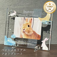 写真入り ペット位牌 メモリアルフォトプレート ウサギの天使 選べる8デザイン 名入れ 名前 日付 メッセ…