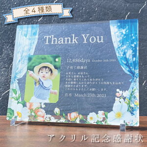 yANLOӏ J[eV[YFO[z qĊӏ ӏ EFfBO EFJ{[h   lO e i vo wedding uC_ LO ̓ ̓ 