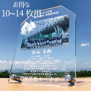 ycEƋLOv[g 10~14p z傫߃TCY X|[cA  vo  LOi  c  cLOi tHgt[ tHg ʐ^ 싅 TbJ[ c ^ 