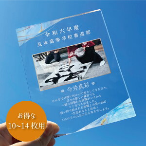 写真入り 卒団・卒業記念プレート 大理石デザイン:ライトブルー 【10〜14枚】 スポーツメモリアル 記念 卒部 卒団 部活 卒団記念品 フォトフレーム 写真立て 送別会 野球 サッカー 卒団式