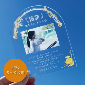 ʐ^ cEƋLOv[g A[`^FS[h y5`9z X|[cA LO  c  cLOi tHgt[ ʐ^ ʉ 싅 TbJ[ c ^ 